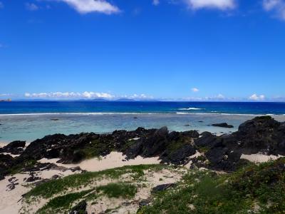 2023 離島一人旅 徳之島(5回目)