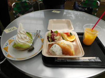 『西島園芸団地』でランチ＆お土産◆2022年7月／松山＆高知の旅≪その３≫