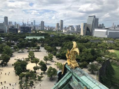 大阪城、篠山城、そして竹田城跡へ