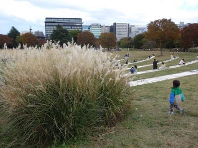 昭和記念公園の無料エリアを散策