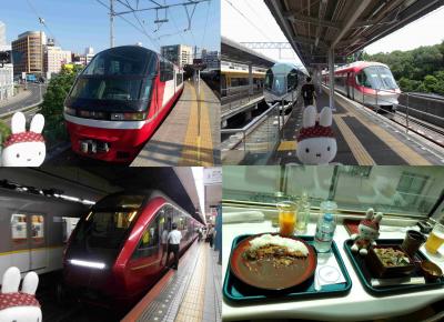 坊主野郎の鉄道極み旅！前編　東海道新幹線のぞみグリーン車で名古屋へ　名鉄パノラマスーパー、近鉄特急しまかぜ、伊勢志摩ライナー、ひのとり乗車記