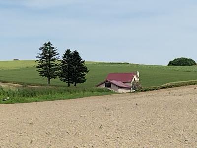 北海道、道北から美瑛、富良野までレンタカーで回るおばちゃん一人旅 其の③