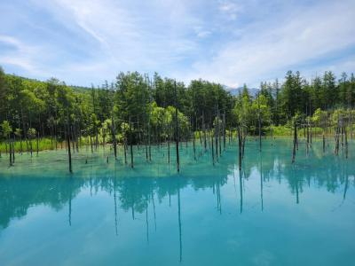 美瑛町 富良野市へ週末ドライブ 2日目