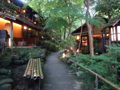 黒茶屋で夜の部。そして秋川温泉。