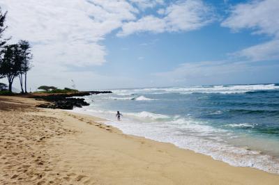４年ぶり♪2024Hawaii～3日目～