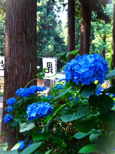 米沢、上杉神社へお礼参りの旅です　☆２０２４.７☆