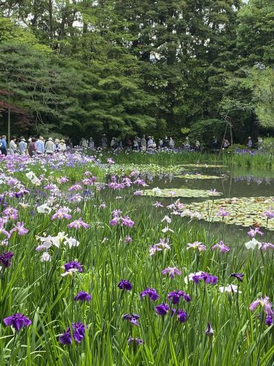 平安神宮と京セラ美術館