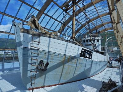 ノルウェーで世界最北の町を体感する旅　＃６【トロムソ復路編】