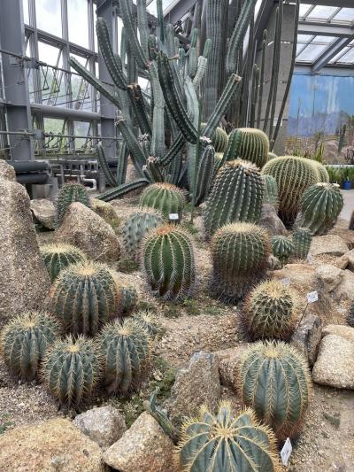 京都府立植物園と 居酒屋食べ放題