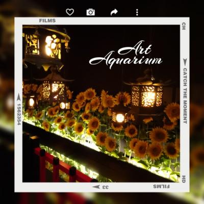 椿山荘と東京満喫ほぼ一人旅4【アートアクアリウムと銀座三越編】