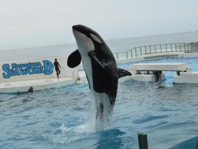 東京・千葉へ行ってきた 鴨川シーワールド編②