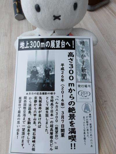 坊主野郎の鉄道極み旅！中編　ひと味違う？道頓堀、通天閣、あべのハルカス展望台、鶴橋をめぐってみた！