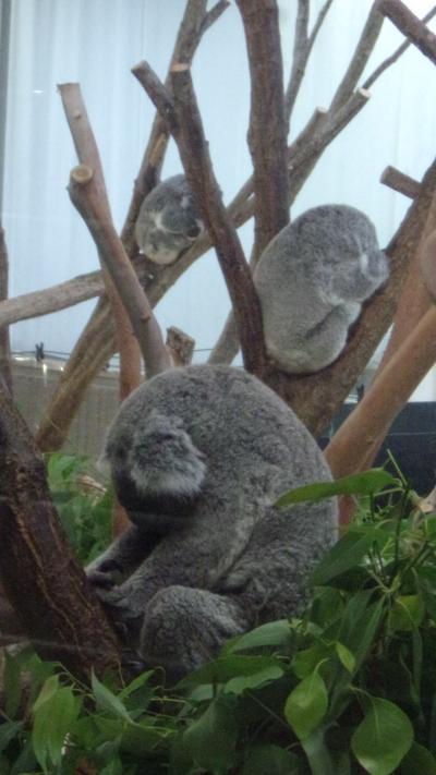 横浜中華街で食事をして桜木町に一泊し、金沢動物園を初訪問　その2
