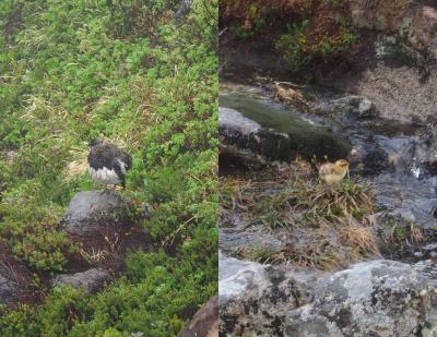 年に一度の母娘旅、今年は富山へ~♪ ① 土砂降りのガッカリ室堂 編
