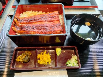 八王子グルメ記(市ヶ谷牛楽/鰻の成瀬/日高屋/安楽亭大和田店/祥和食府/松のや/はま寿司/弘富) 2024/04/26-05/15