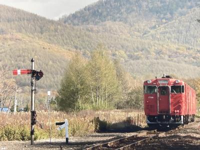 富良野、麓郷の森からぽっぽやの幾寅駅
