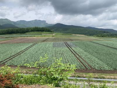 キャベツ畑を見て購入したくて嬬恋へ～鬼押出と愛妻の丘、絶景満喫女ひとりドライブ旅