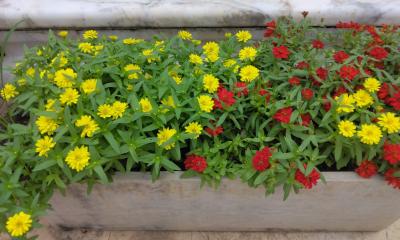 久しぶりのバンコク→チェンマイ旅行 11日目 2024.05.25