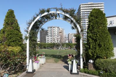 春の横浜♪　Vol.13　ガーデンネックレス横浜：アメリカ山公園・ブラフ99ガーデン♪