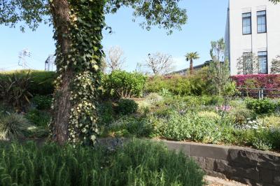 春の横浜♪　Vol.14　ガーデンネックレス横浜：ブラフ99ガーデン・港の見える丘公園♪