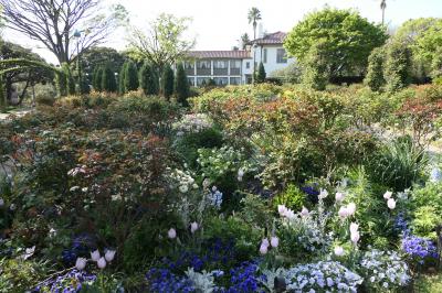 春の横浜♪　Vol.15　ガーデンネックレス横浜：港の見える丘公園♪