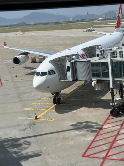 一応ANA修行？ スイス航空A340-300などビジネスクラスでヒースローまで乗り継ぎ記録！
