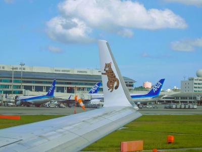 ○o。.最高に楽しかった♪バスで行くやんばる沖縄ひとり旅vol.7（那覇編）2024初夏.。o○