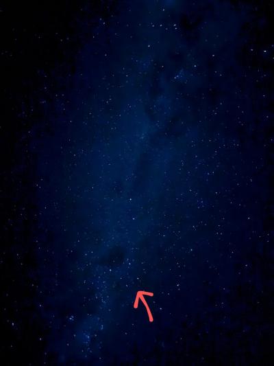 24年夏ニュージーランド8日間ツアー②クライストチャーチ、テカポ星空鑑賞