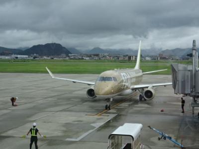 天皇杯観戦・山形遠征記