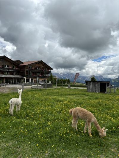 ここはイタリア？西部ドロミテ地方＋ベルガモ　その9