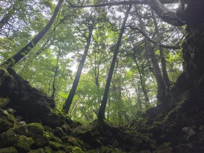 職場の同僚と行く富士周辺日帰り旅