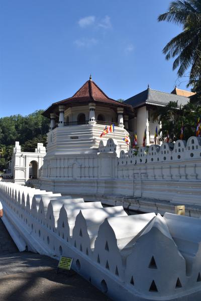 2023年子連れスリランカの旅（５）〜　聖地キャンディで初詣