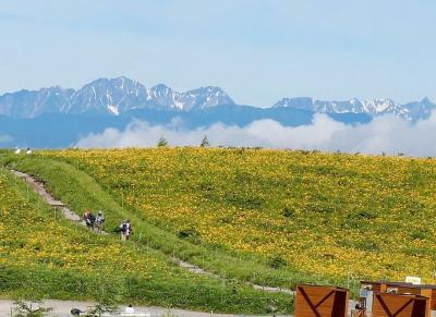 団塊夫婦の初夏の花登山・2024ー(2)ニッコウキスゲ満開の霧ヶ峰へ・ついでに車山登山