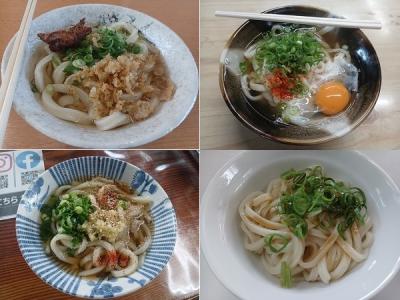 P泊旅#28：九州湯巡り7回目 (7) 帰路は讃岐うどん三昧～帰宅