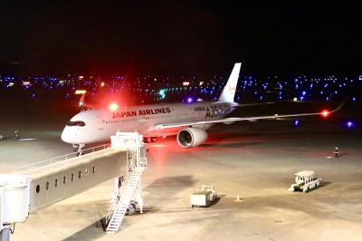 ヒコーキ沼にハマる1泊2日@新千歳空港に泊まってみた!その2