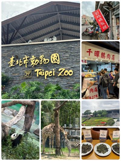 淡水と台湾動物園、新規開拓予定のひとり旅は、楽しい3人女子旅となりました。(後半:2日目&3日目)
