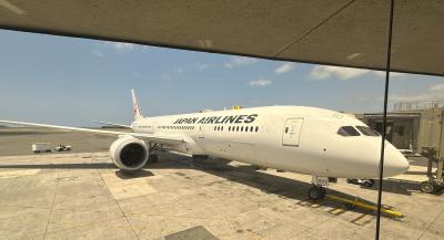 2024今年のHAWAIIは10泊12日(11・12日目)いよいよ帰国、JALで関空へ