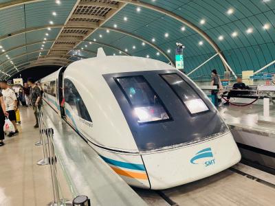 なんちゃって中欧東欧周遊の旅 ①　まずは 飛んでイスタンブール　でもその前に
