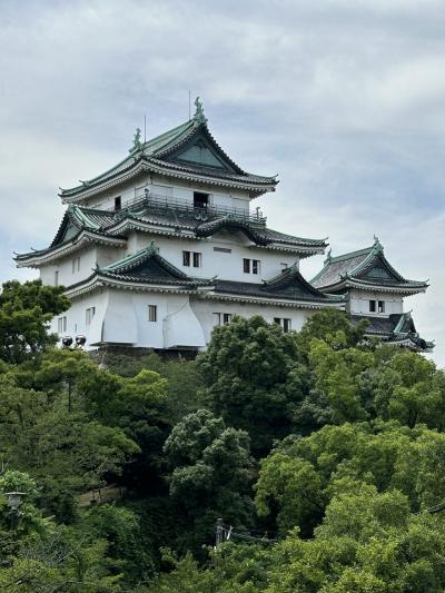 2024年7月　和歌山の旅