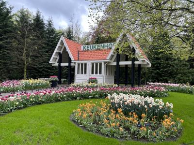 母娘念願のオランダ旅行☆彡⑥キューケンホフ公園編
