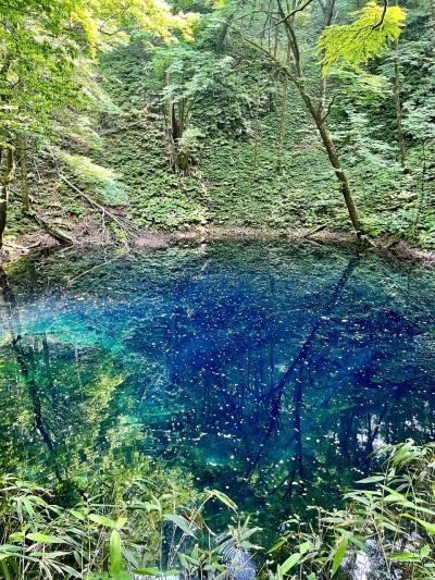 青森（奥入瀬・白神山地）