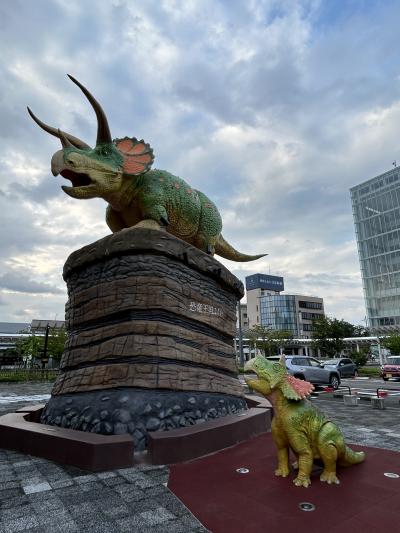女ひとり夜行発日帰り福井★18きっぷでお城3つやっつけるだけの旅