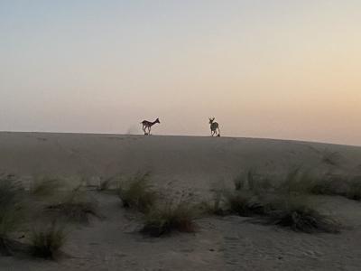 UAE 夏休み女子旅Day3