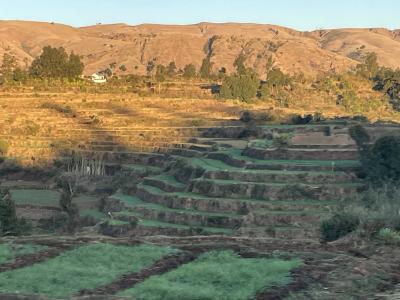 ツインギー・ハイキングとマダガスカルの大自然10日間　3日目
