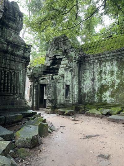 タプローム遺跡の雨季の７月の旅体験をしました。