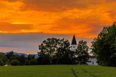 初夏の美瑛撮影行2024(前編)