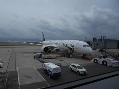 2024年7月・5年ぶりの台湾へツアー旅行(その1・前泊からのエバー航空BR177便)