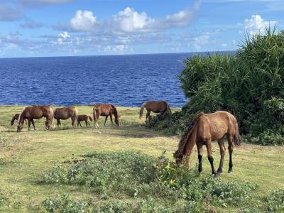 与那国島・与論島 2024年7月 ①日目