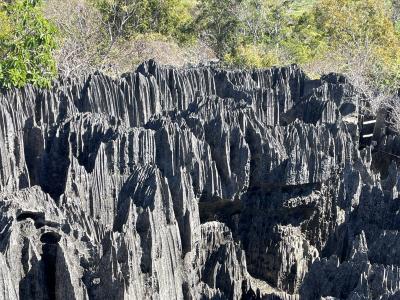 ツインギー・ハイキングとマダガスカルの大自然10日間　5日目