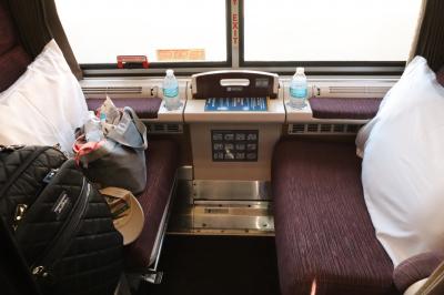 2024年夏休み　初めての寝台列車、アムトラックでニューヨークからシカゴへ